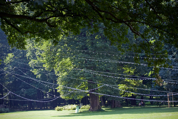 333 :: Wires